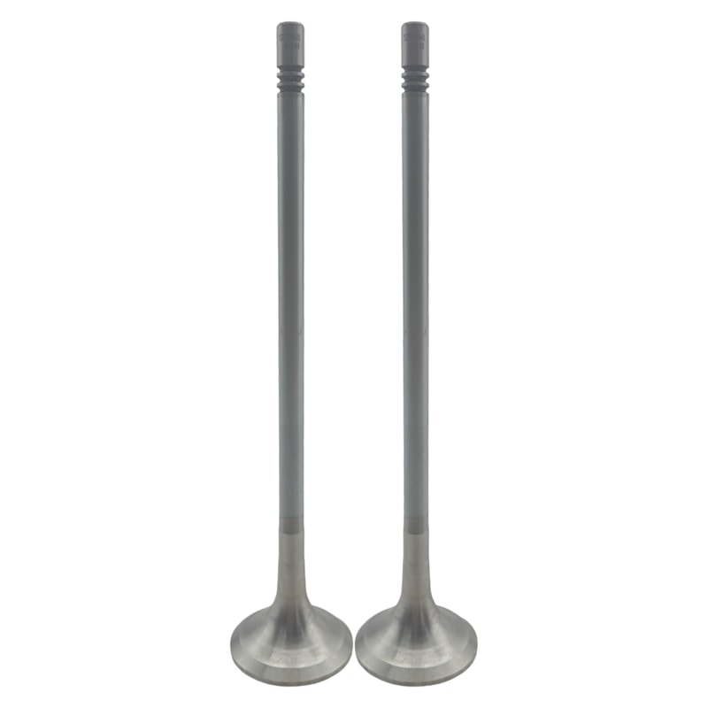 Thumbnail image - 7c7160ce-784c-45d7-902d-95afc1915829