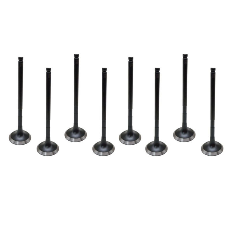 Thumbnail image - 0941751d-fe14-4eb8-8904-5626eb890d6a